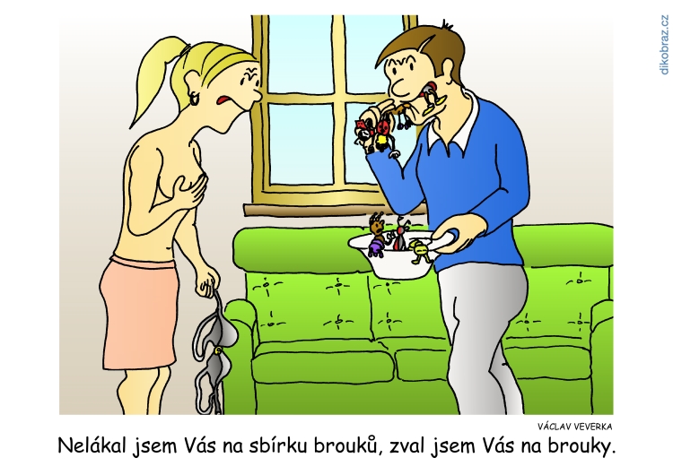 Václav Veverka vtipy č.48412 - 