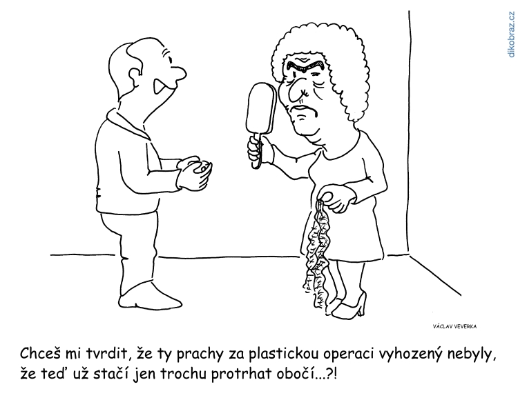 Václav Veverka vtipy č.49624 - 