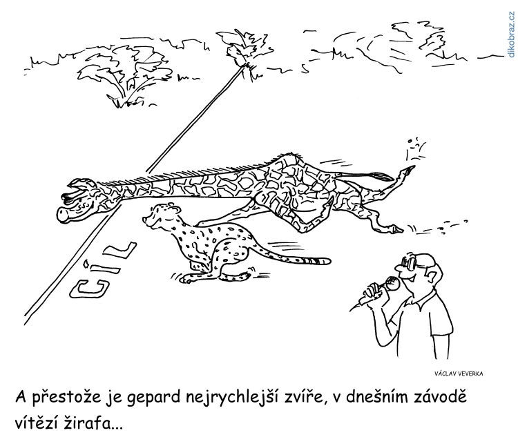 Václav Veverka vtipy č.56688 - 