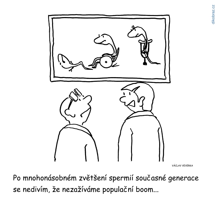 Václav Veverka vtipy č.61305 - 