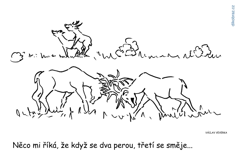Václav Veverka vtipy č.61336 - 