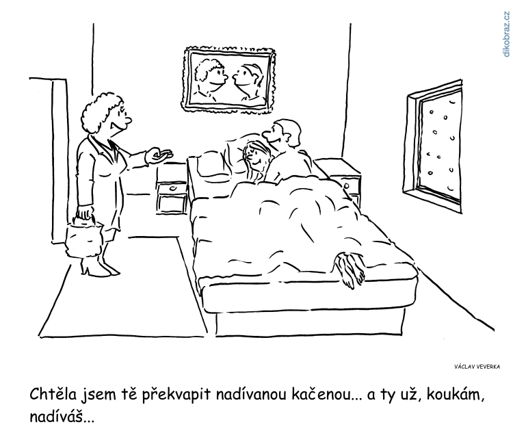 Václav Veverka vtipy č.61553 - 