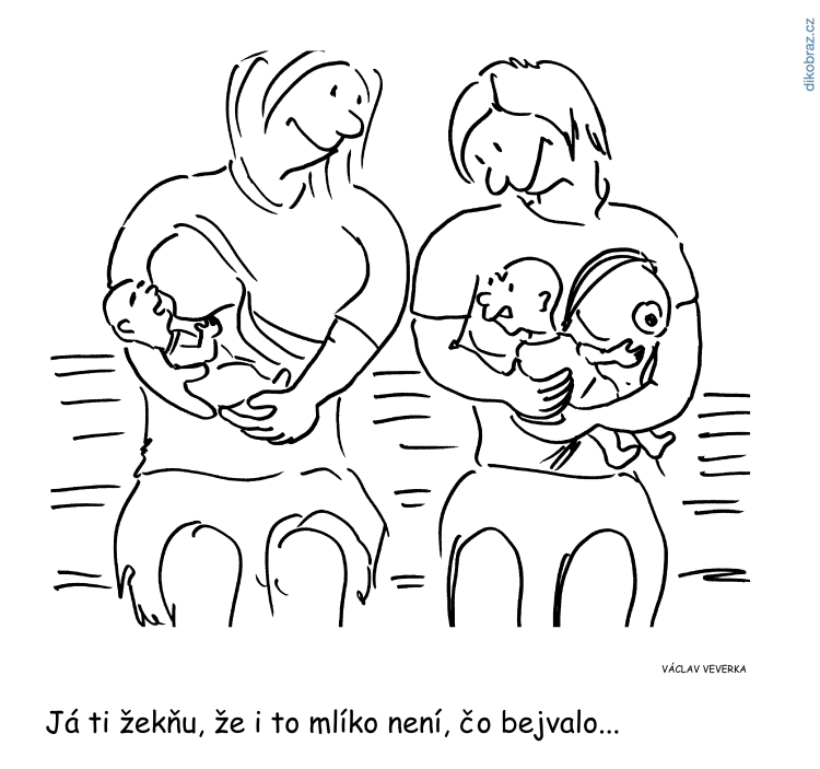 Václav Veverka vtipy č. - 