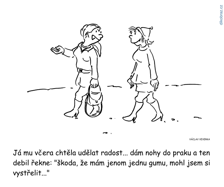 Václav Veverka vtipy č.62231 - 