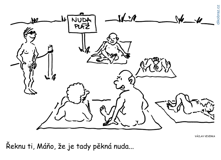 Václav Veverka vtipy č.62480 - 