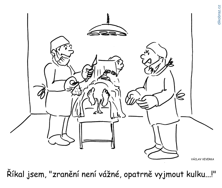 Václav Veverka vtipy č.62827 - 