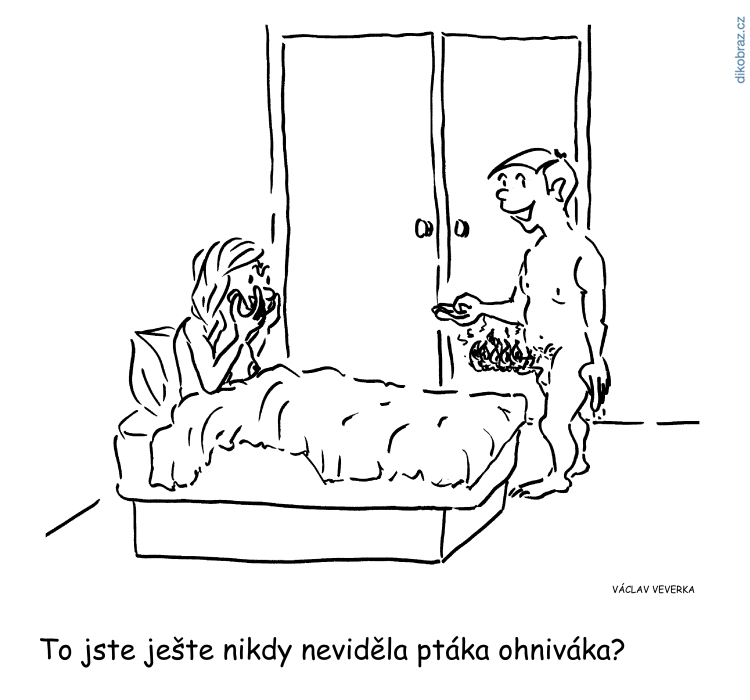 Václav Veverka vtipy č.62884 - 