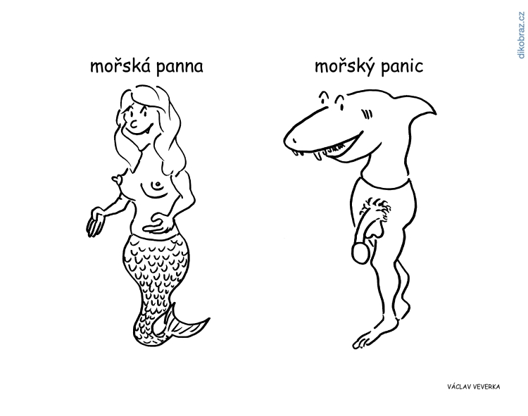 Václav Veverka vtipy č.62932 - 