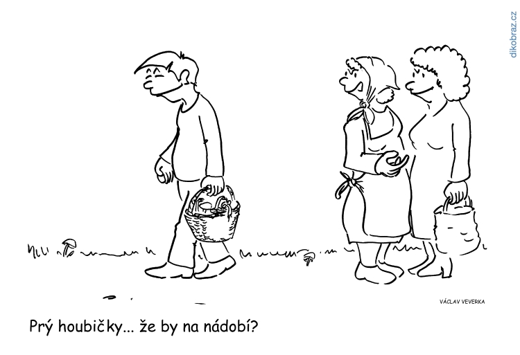 Václav Veverka vtipy č.62933 - 