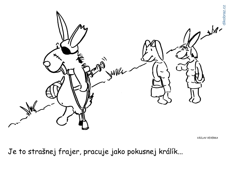 Václav Veverka vtipy č.63025 - 