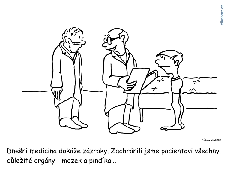 Václav Veverka vtipy č.63244 -