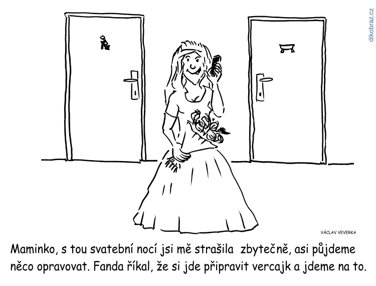 Václav Veverka vtipy č.63352 - 