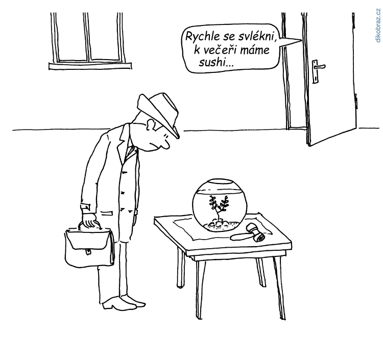 Václav Veverka vtipy č. - 