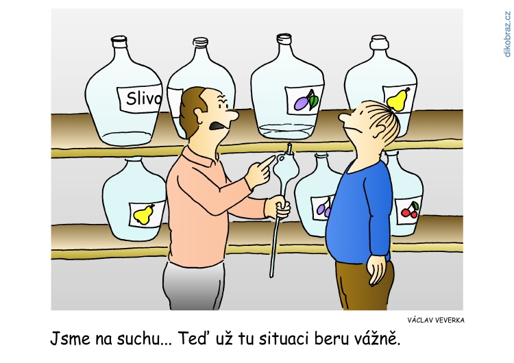 Václav Veverka vtipy č. - Domácí politika 2019