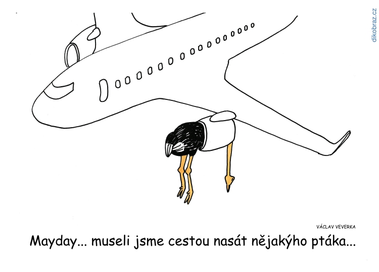 Václav Veverka vtipy č. - 