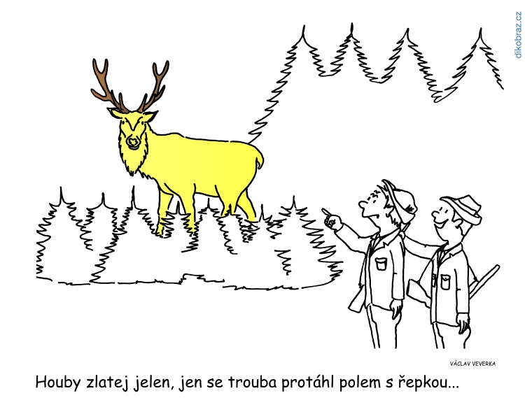 Václav Veverka vtipy č.6968 - Domácí politika 2019