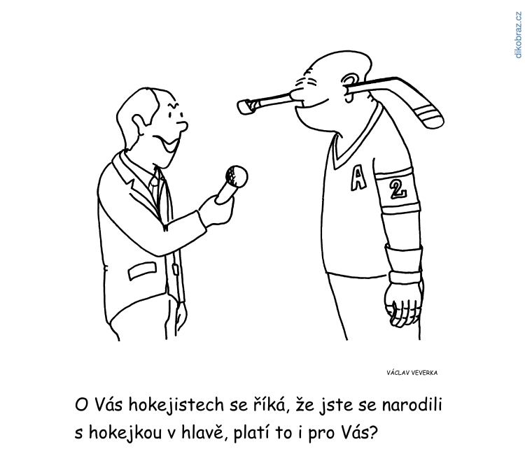 Václav Veverka vtipy č.6974 - MS 2019 v hokeji