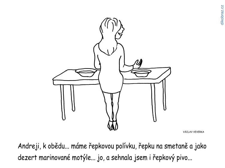 Václav Veverka vtipy č. - domácí novinky 2019