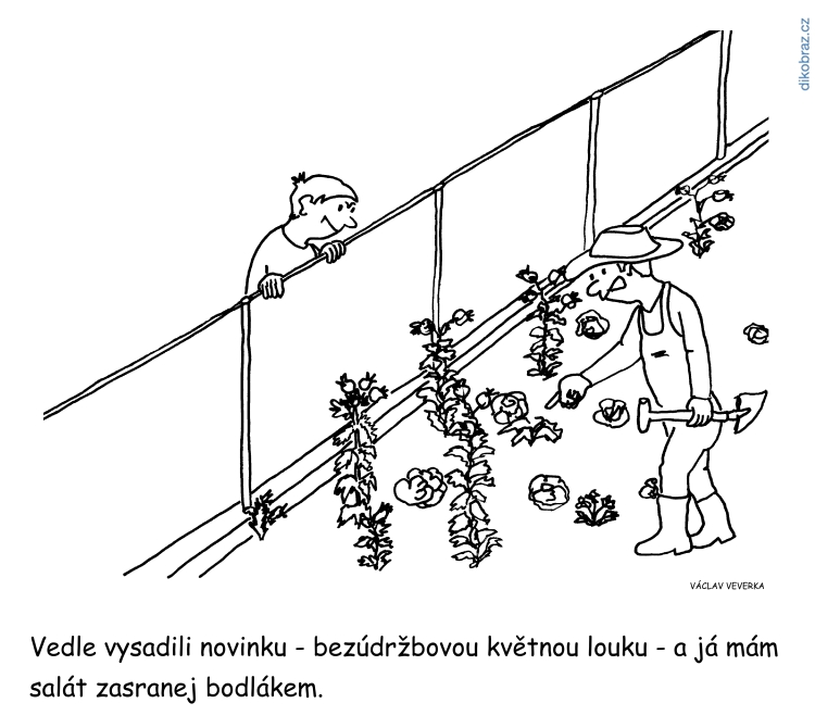 Václav Veverka vtipy č. - domácí novinky 2019