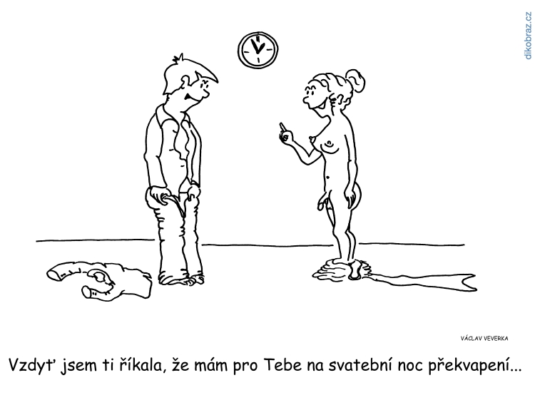 Václav Veverka vtipy č.7222 - 