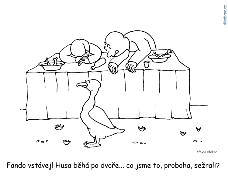 Václav Veverka vtipy č. - domácí novinky 2019