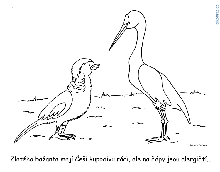 Václav Veverka vtipy č.7427 - 