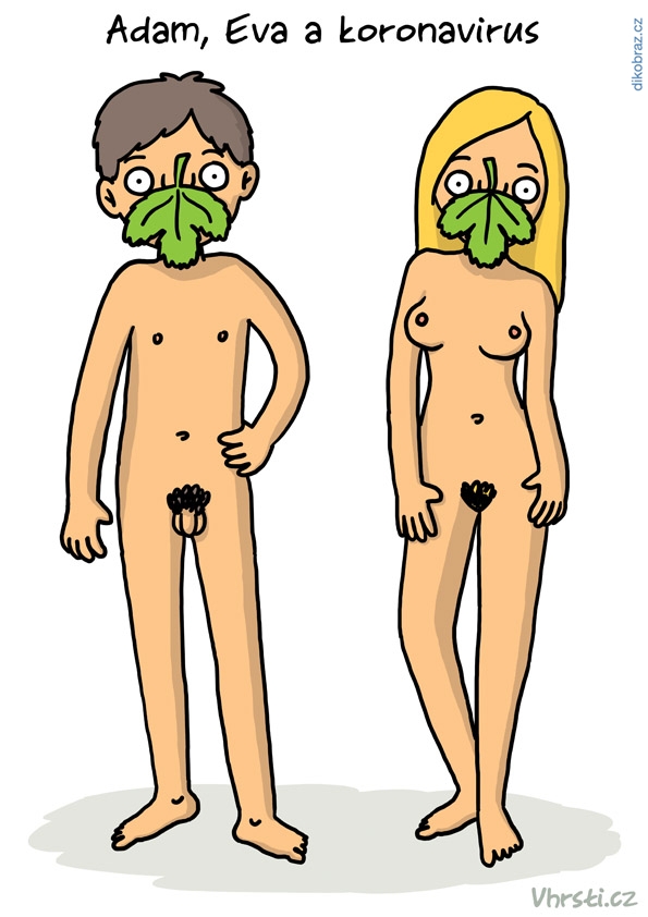 Vhrsti vtipy č.8105 - Koronavirus