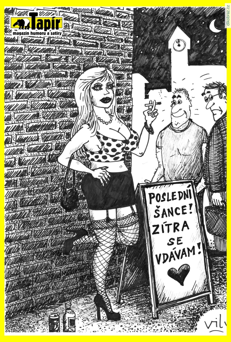 Vily vtipy č.19910 - 