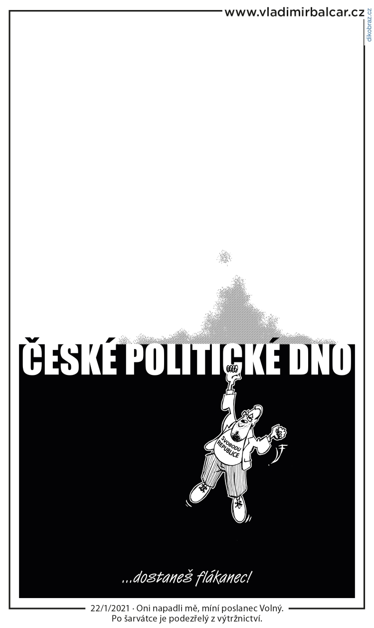 Vladimír Balcar vtipy č.27506 - Šarvátka ve sněmovně