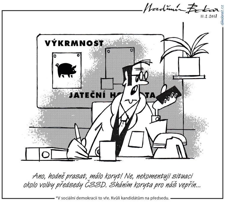 Vladimír Balcar vtipy č. - Domácí politika 2018