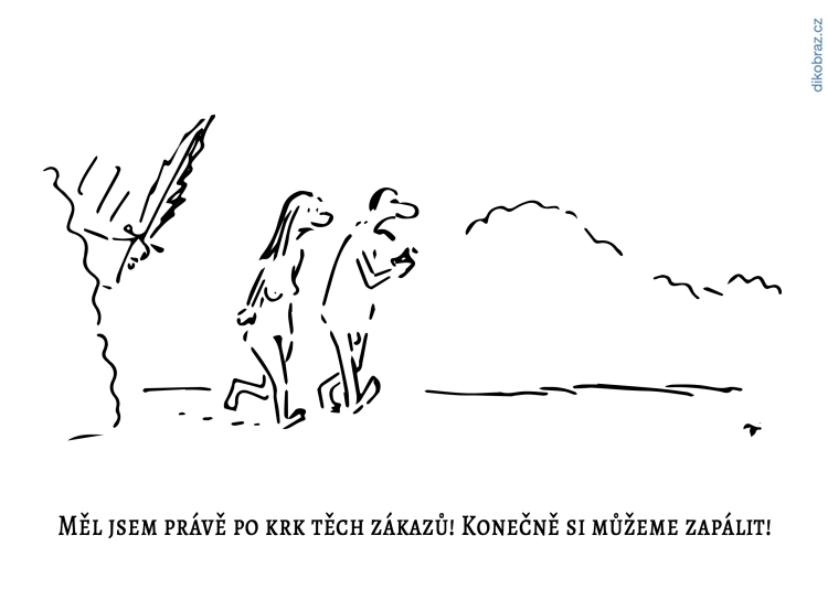 Vladimír Jiránek vtipy č.49527 - 