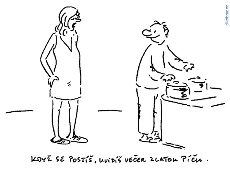 Vladimír Jiránek vtipy č.54222 - 