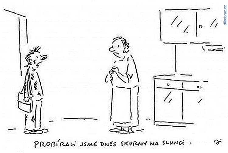 Vladimír Jiránek vtipy č.54241 - 