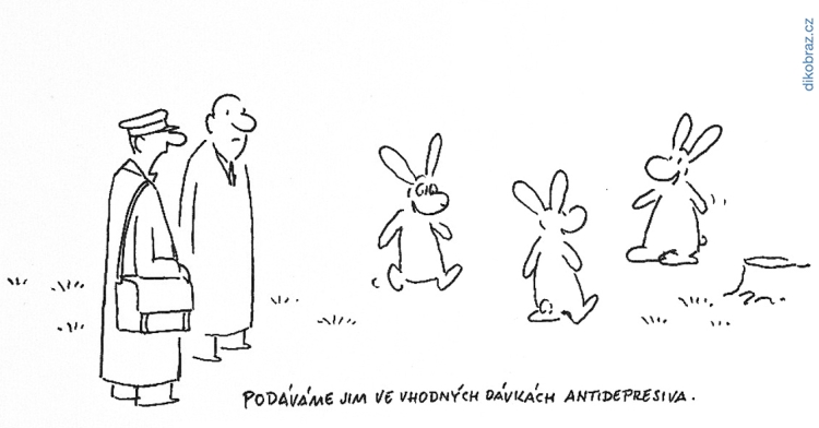 Vladimír Jiránek vtipy č.54311 - 