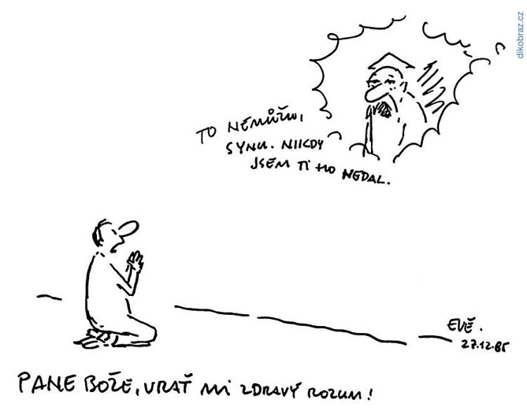 Vladimír Jiránek vtipy č.54356 - 