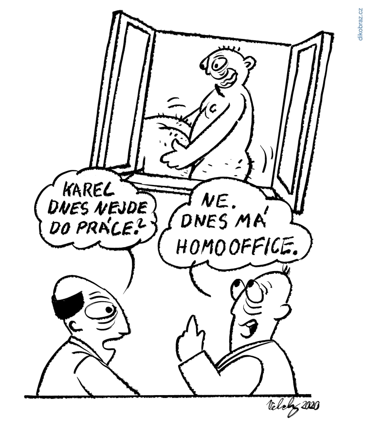 Vojtěch Velický vtipy č.15715 - 