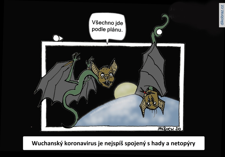 Zdeněk Kolbuch vtipy č.7585 - 