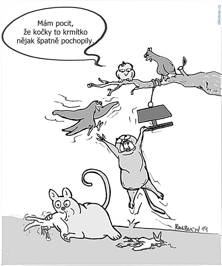 Zdeněk Kolbuch vtipy č.7618 - 