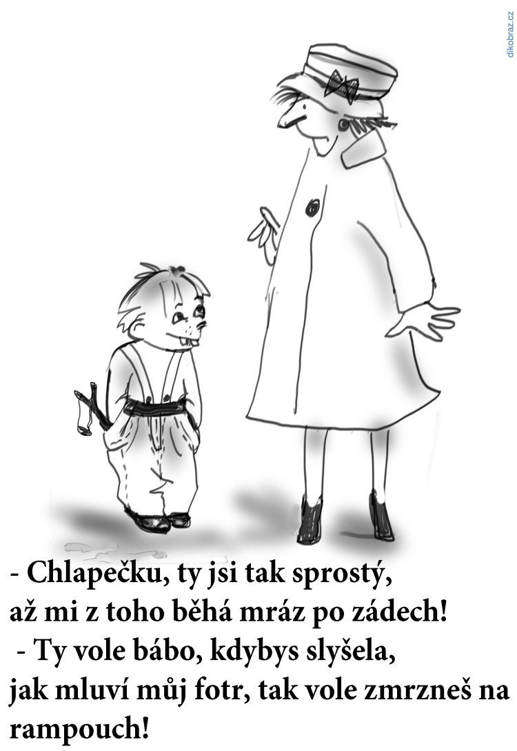 Ell Ell č.3165 - 
