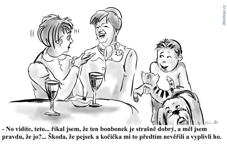 Ell Ell č.3169 - 