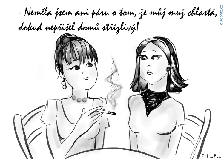 Ell Ell č.3167 - 