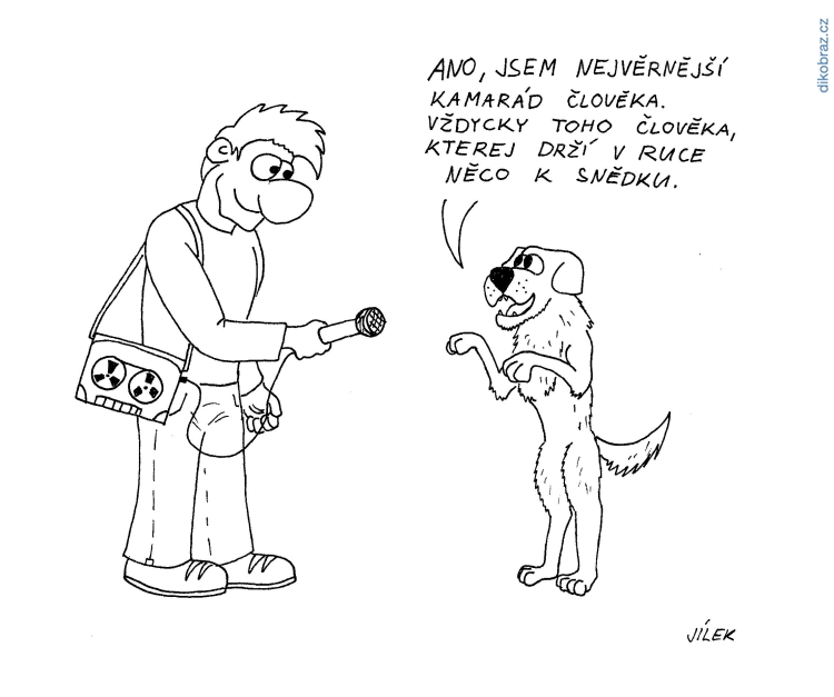 Karel Jílek č.2890 - 