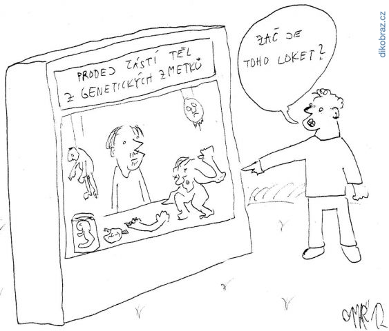 Martyho Frky č.144 - 