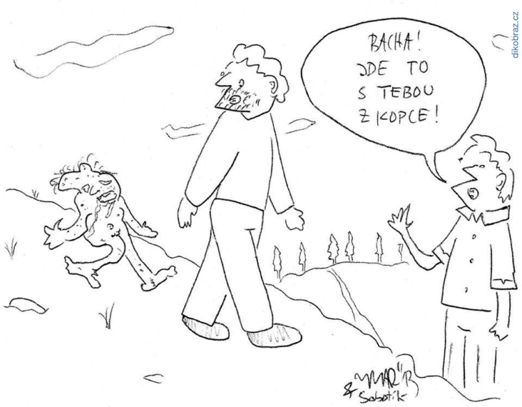 Martyho Frky č.2764 - 