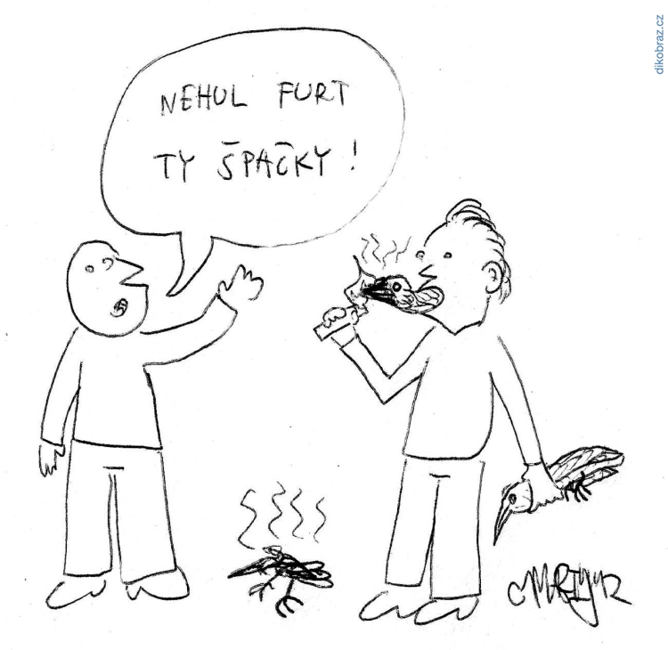 Martyho Frky č.1010 - 