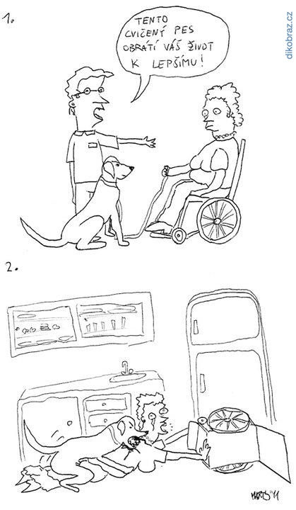 Martyho Frky č.1237 - 