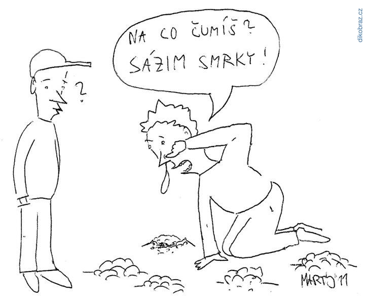 Martyho Frky č.1271 - 