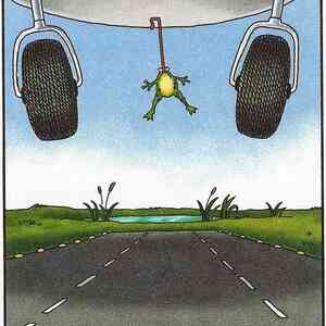 Gary Larson vtipy č.17875 - 