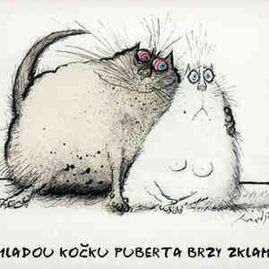 Ronald Searle vtipy č.1718 - 