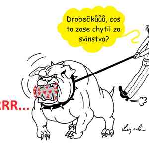 Tomáš Lojek vtipy č.15814 - 